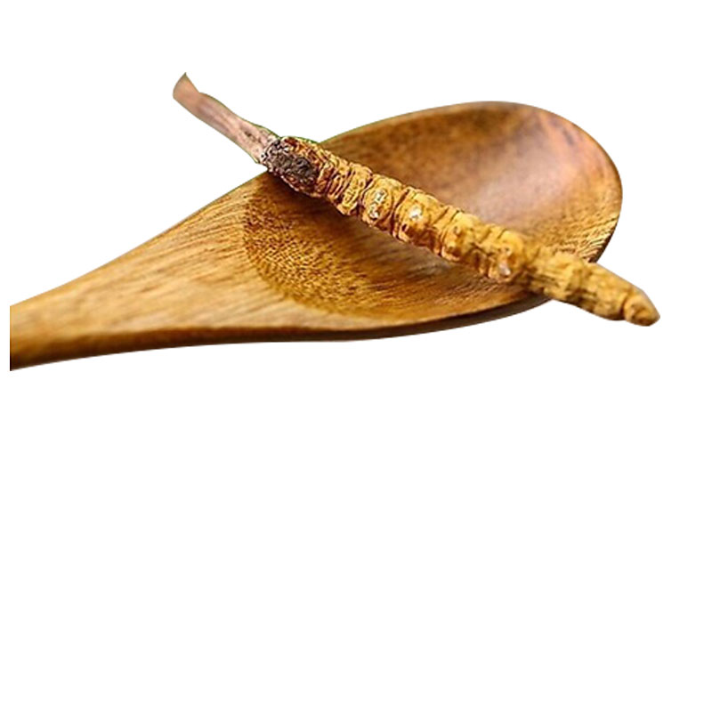 青海野生冬虫夏草 